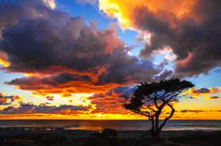 Carlsbad sunset-9705.jpg Carlsbad sunset-9705.jpg